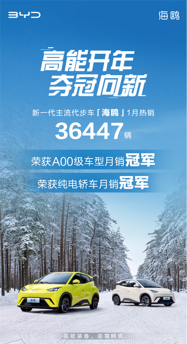 比亚迪海鸥1月销量夺冠，成A00级车型与纯电轿车双料冠军