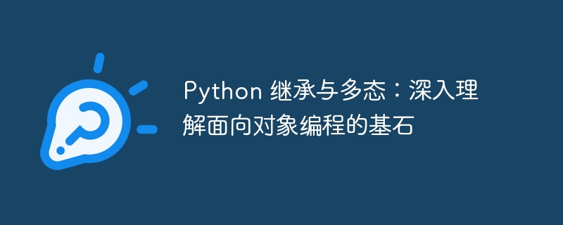 Python 继承与多态:深入理解面向对象编程的基石