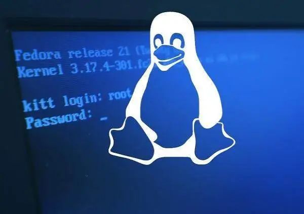 Linux运维必备实战巡检脚本