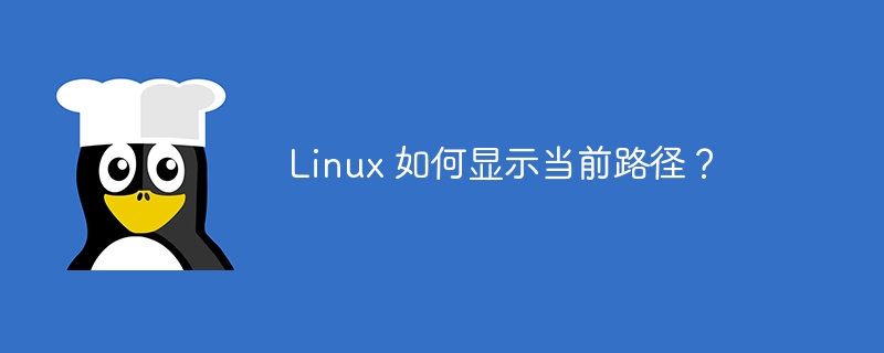 如何检查当前在 Linux 中所在的目录？