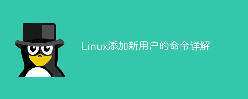 如何在Linux系统中创建新用户