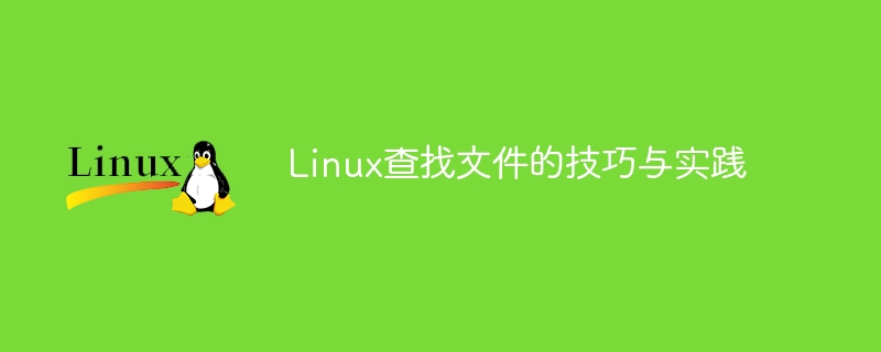 使用Linux查找文件的技巧及应用
