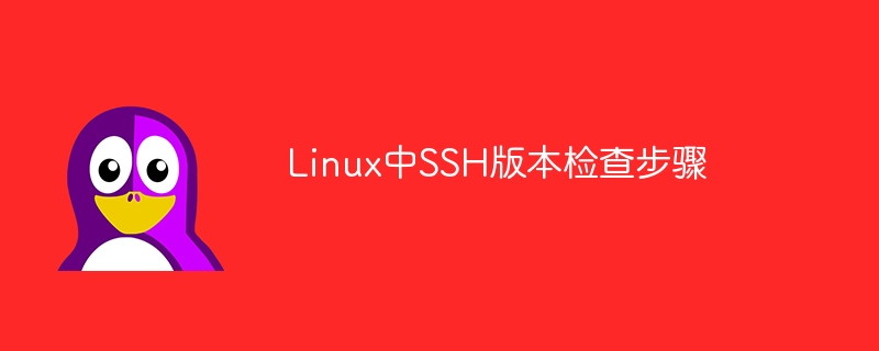 Linux系统中检查SSH版本的步骤