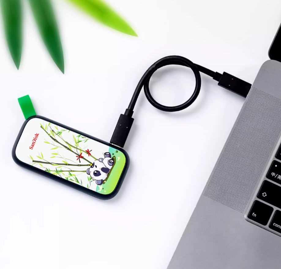 闪迪移动固态硬盘国潮风物版发布,2TB 首发价 959 元