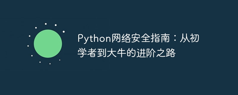 Python网络安全指南:从初学者到大牛的进阶之路