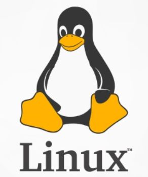 Linux系统中调整网卡识别顺序的绑定方法