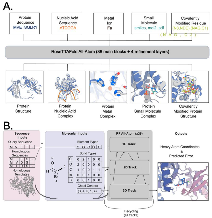 预测所有生物分子，David Baker 团队蛋白质设计新工具 RoseTTAFold All-Atom 登 Science