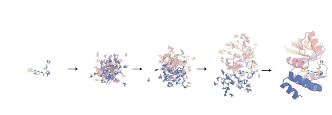 预测所有生物分子，David Baker 团队蛋白质设计新工具 RoseTTAFold All-Atom 登 Science