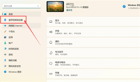 如何在Windows 11上启用触摸键盘和触摸板