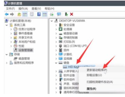 win11键盘失灵无法打字解决方法？win11键盘失灵无法打字的解决方法