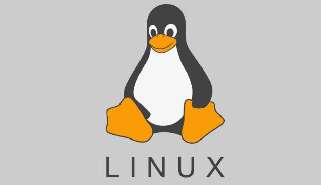 Linux中如何查看进程的运行时间