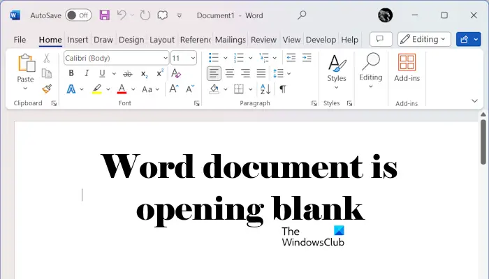 Windows 11/10中打开Word文档时无内容