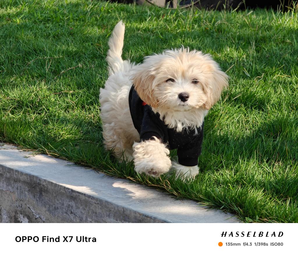 登顶 DXOMARK,OPPO Find X7 Ultra 成为智能手机影像新标杆