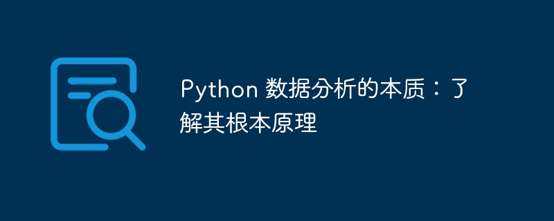 Python 数据分析的本质:了解其根本原理