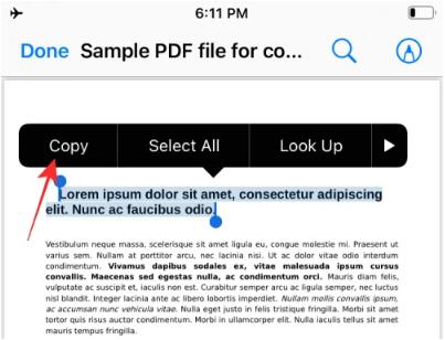 3种在iPhone上提取PDF文本的方法