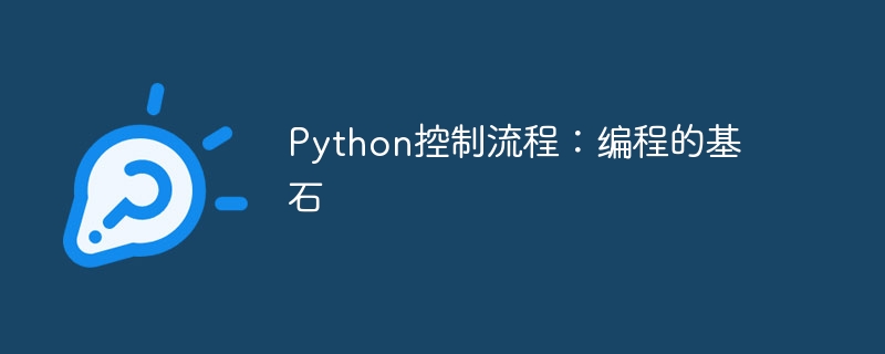Python控制流程:编程的基石