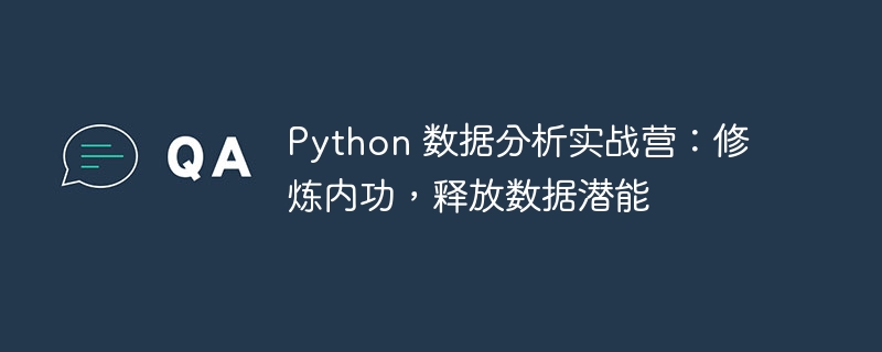Python 数据分析实战营：修炼内功，释放数据潜能