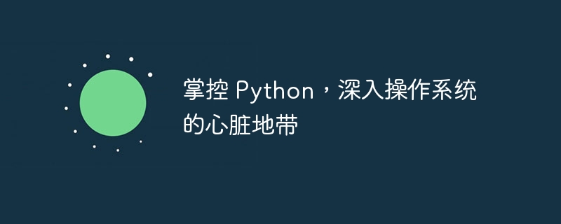 掌控 Python,深入操作系统的心脏地带