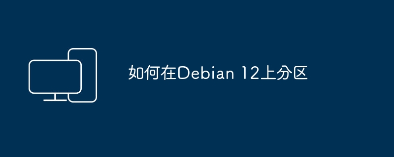 在Debian 12上的分区指南
