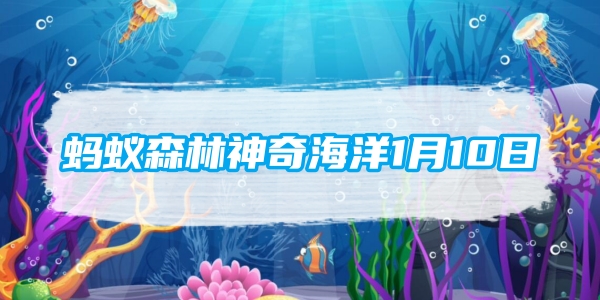 解密：为什么鲍鱼壳边缘上有小孔？