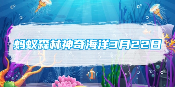 海洋里的好奇海豚：跟随船只游玩的行为可能是这种原因