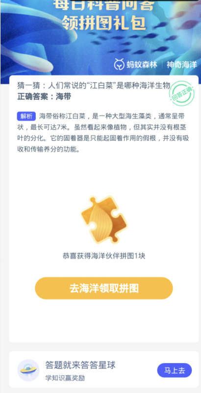 蚂蚁森林神奇海洋1月27日：人们常说的江白菜是哪种海洋生物