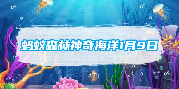 蚂蚁森林神奇海洋1月9日：皮皮虾属于虾类吗？