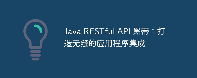 Java RESTful API 黑带:打造无缝的应用程序集成