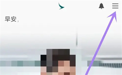 国泰航空如何切换语言