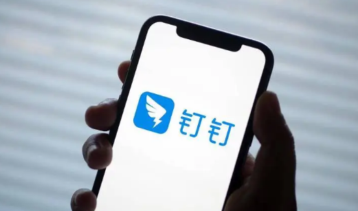 钉钉消息免打扰在哪里设置