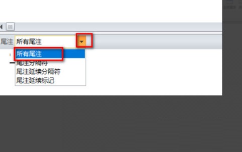 wps中怎么删除尾注横线？wps删除尾注横线的方法