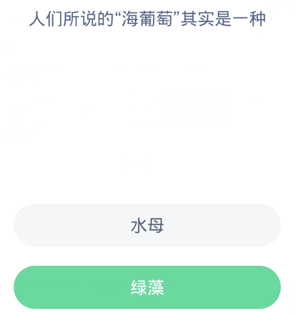 蚂蚁森林神奇海洋3月27日：人们所说的海葡萄其实是一种