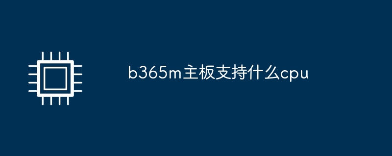 b365m主板支持什么cpu