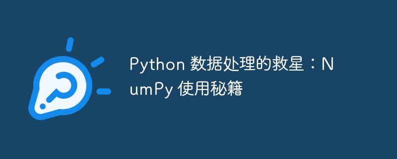 Python 数据处理的救星:NumPy 使用秘籍