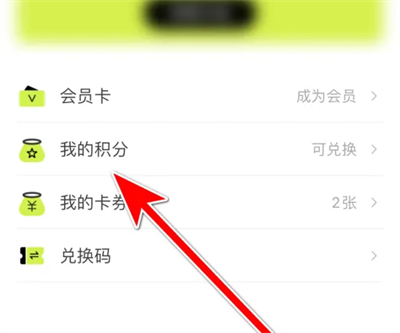 呆小猪如何查询积分