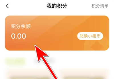 呆小猪如何查询积分