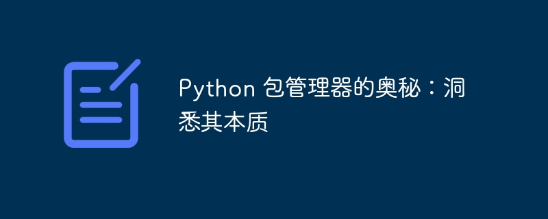 Python 包管理器的奥秘:洞悉其本质