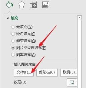 Microsoft Excel 2020怎么调整图片透明度-Microsoft Excel 2020调整图片透明度的方法