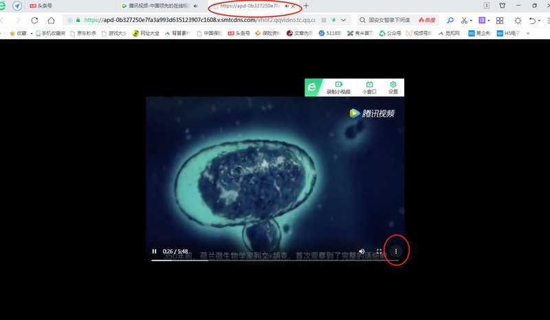 如何下载网页视频到电脑 附：网页中的视频下载方法