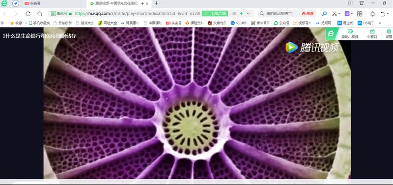 如何下载网页视频到电脑 附：网页中的视频下载方法
