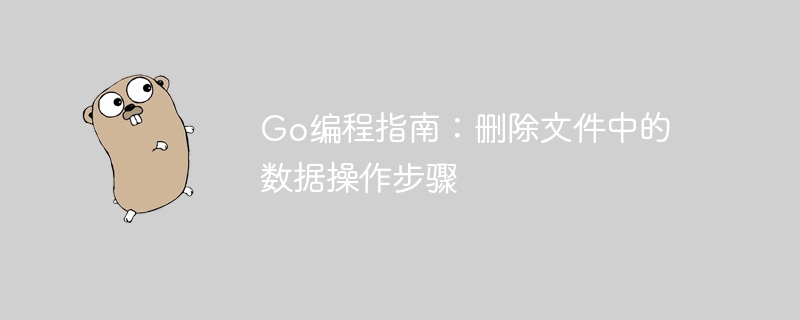 Go编程指南:删除文件中的数据操作步骤