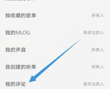 网易云音乐我的评论怎么不让陌生人看_网易云音乐评论仅关注人可见方法