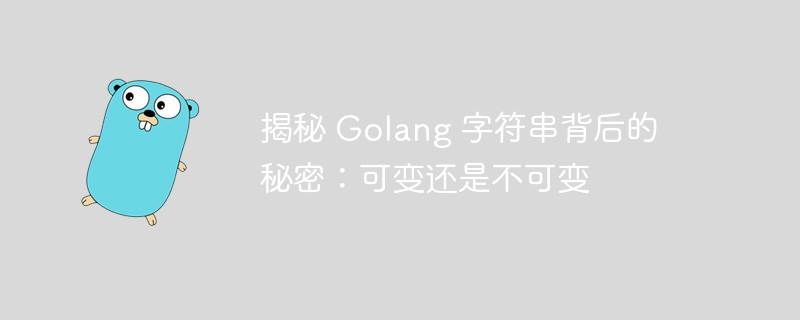 揭秘 Golang 字符串背后的秘密:可变还是不可变