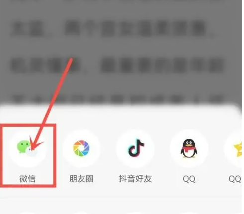 番茄小说链接如何分享