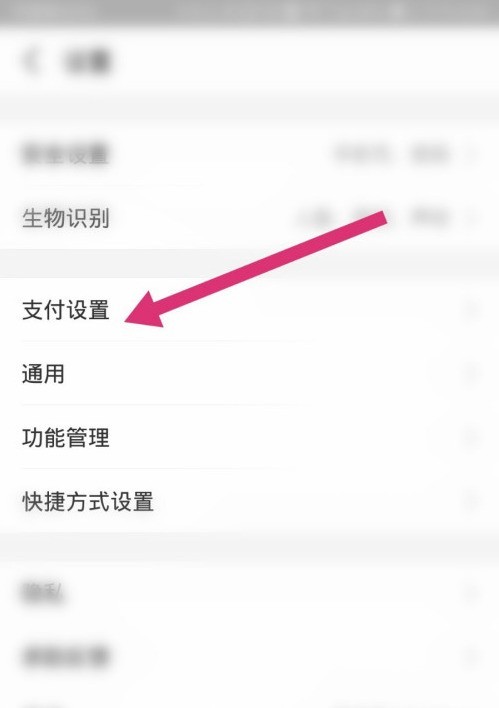 支付宝怎么设置用付款码支付_支付宝设置用付款码支付方法分享