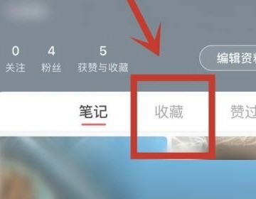 小红书视频怎么分类_小红书视频分类方法