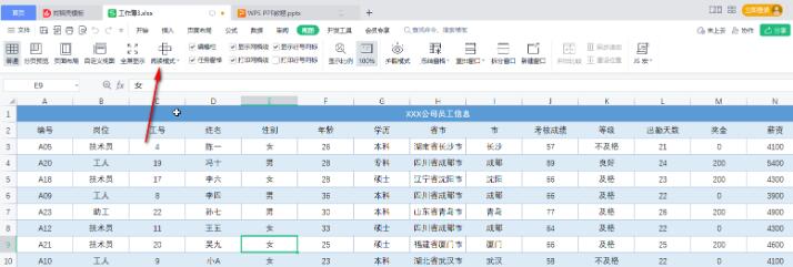 WPS表格中制作聚光灯效果 | WPS表格中开启颜色十字光标