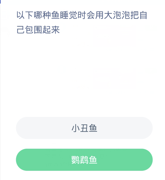蚂蚁森林神奇海洋3月11日：以下哪种鱼睡觉时会用大泡泡把自己包围起来