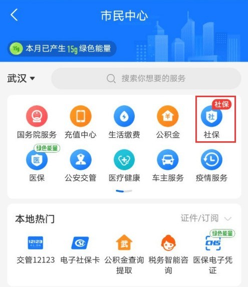 支付宝怎么查询生育保险缴费记录_支付宝查看生育保险缴费记录方法