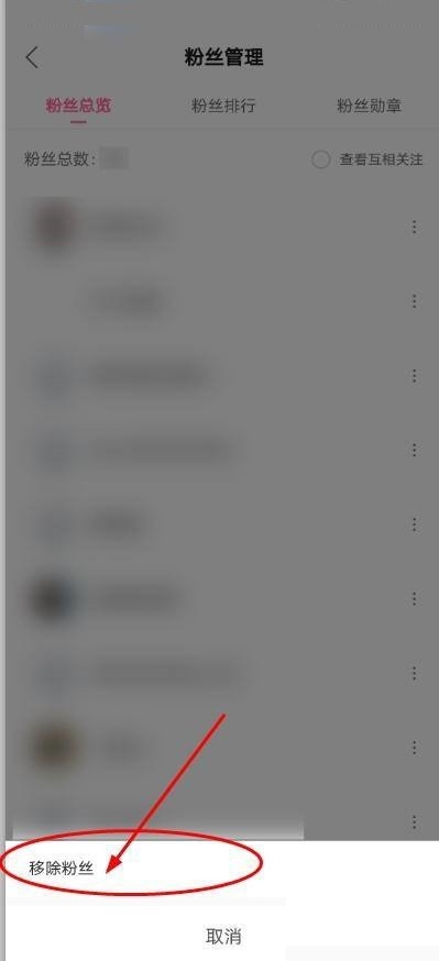 哔哩哔哩怎么移除粉丝_哔哩哔哩移除粉丝教程